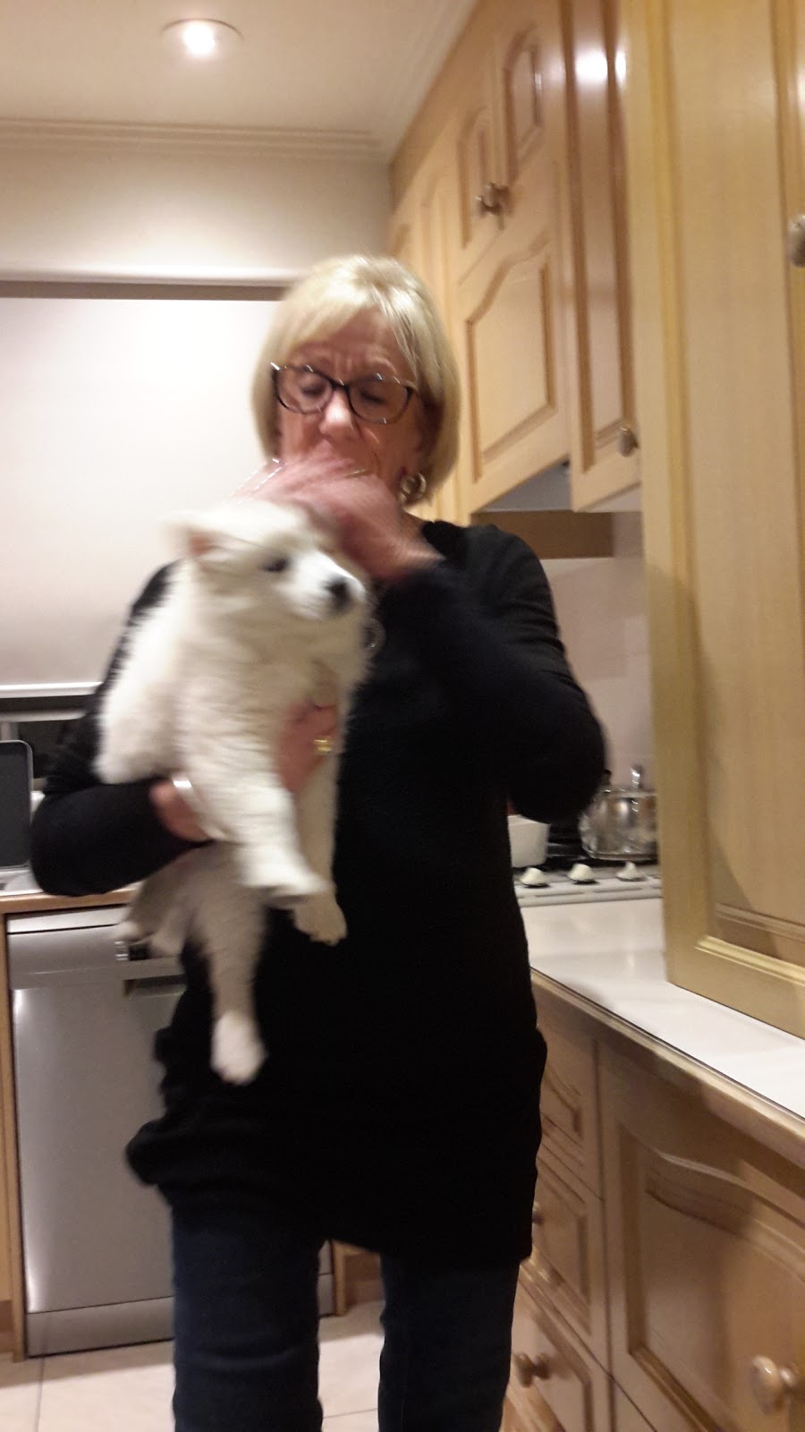 Yanni Rigos | 5 Clarkson Rd, Kallista VIC 3791, Australia | Phone: (03) 9755 2722