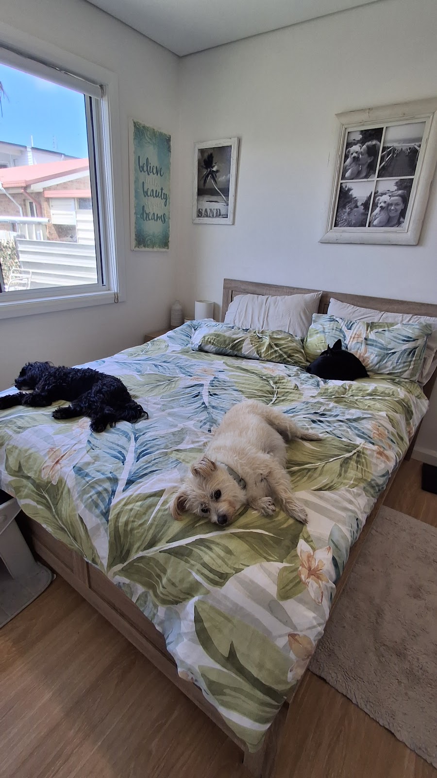 Paws and Play Booker Bay | Davis St, Booker Bay NSW 2257, Australia | Phone: 0431 593 890