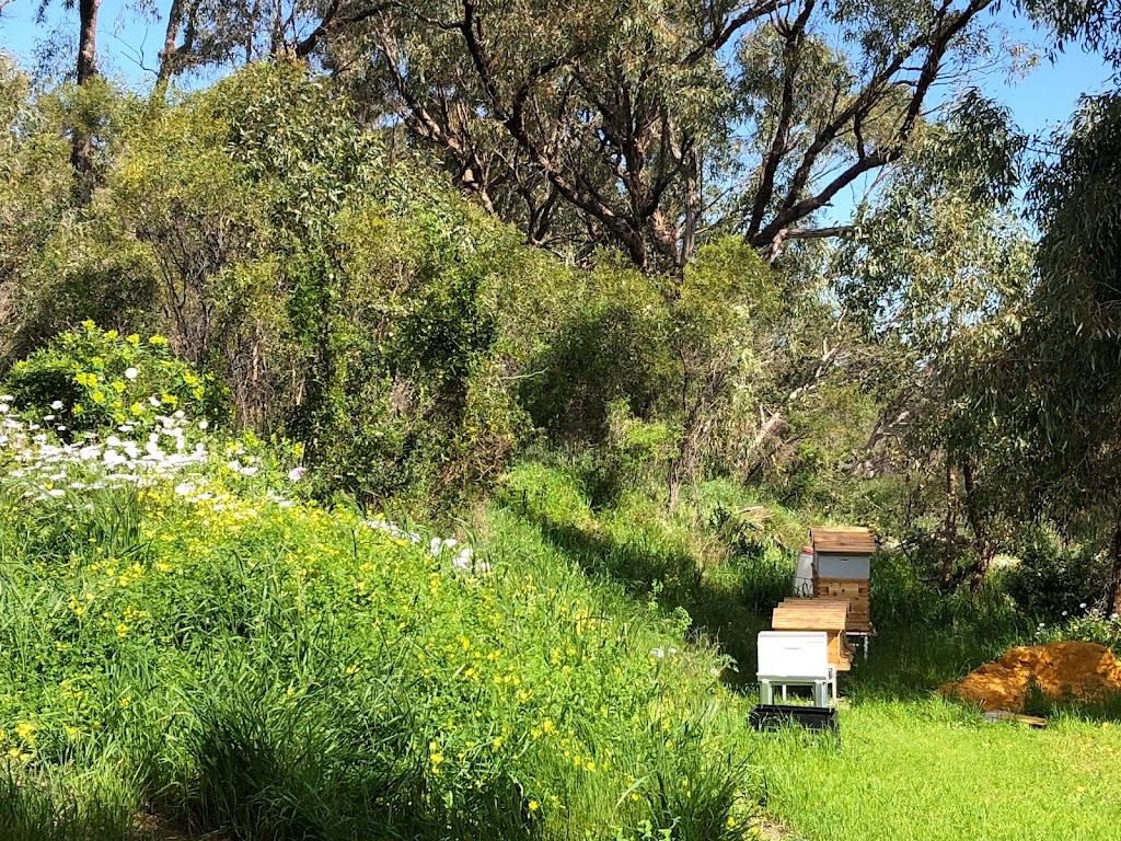 Queen Bee Honey Club |  | 1295 Mandurah Rd, Baldivis WA 6171, Australia | 0416192215 OR +61 416 192 215