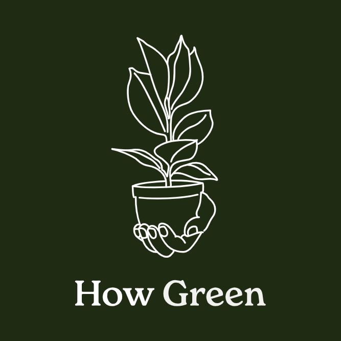 How Green |  | 50 Melba Rd, Lalor Park NSW 2147, Australia | 0481394835 OR +61 481 394 835