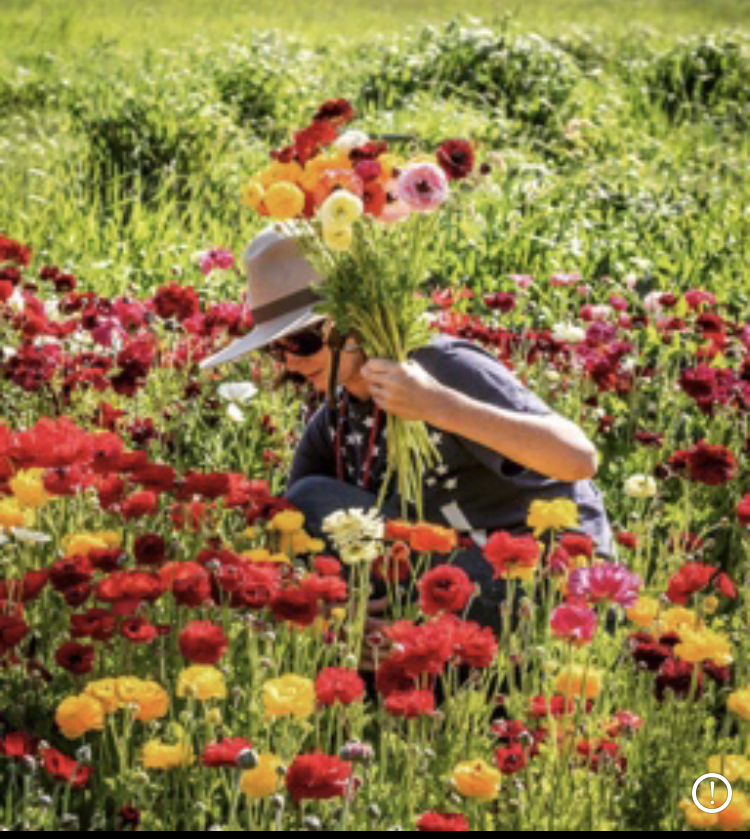 Bella Flora Farm | 20 Pax Parade, Curlewis VIC 3222, Australia | Phone: 0421 747 100