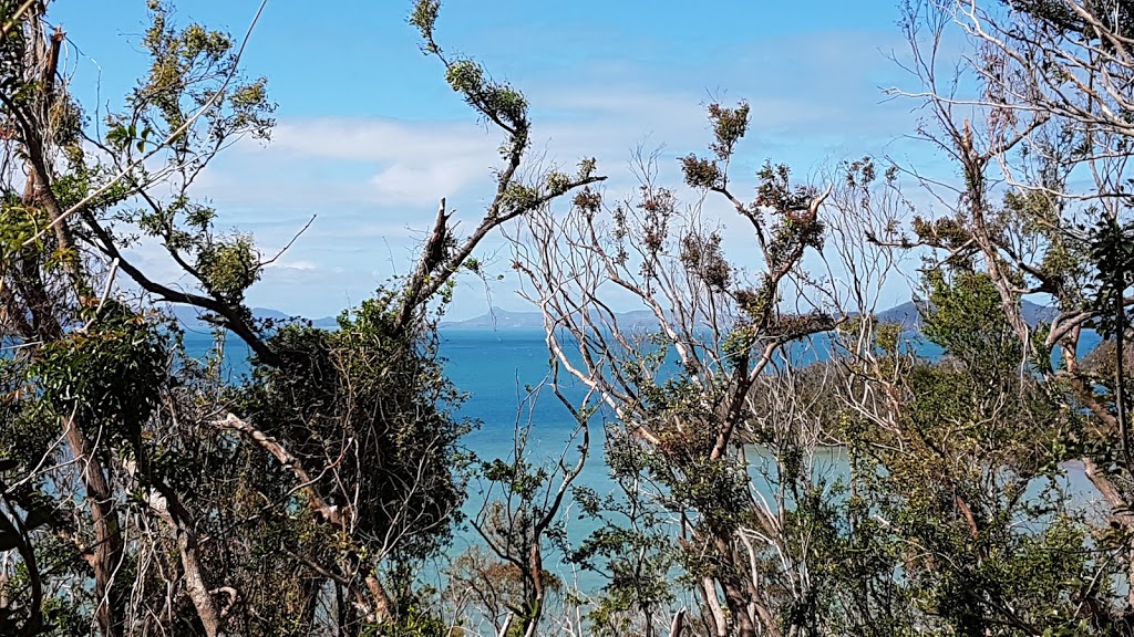 Coral beach walking track | Shute Harbour QLD 4802, Australia | Phone: 0481 820 444