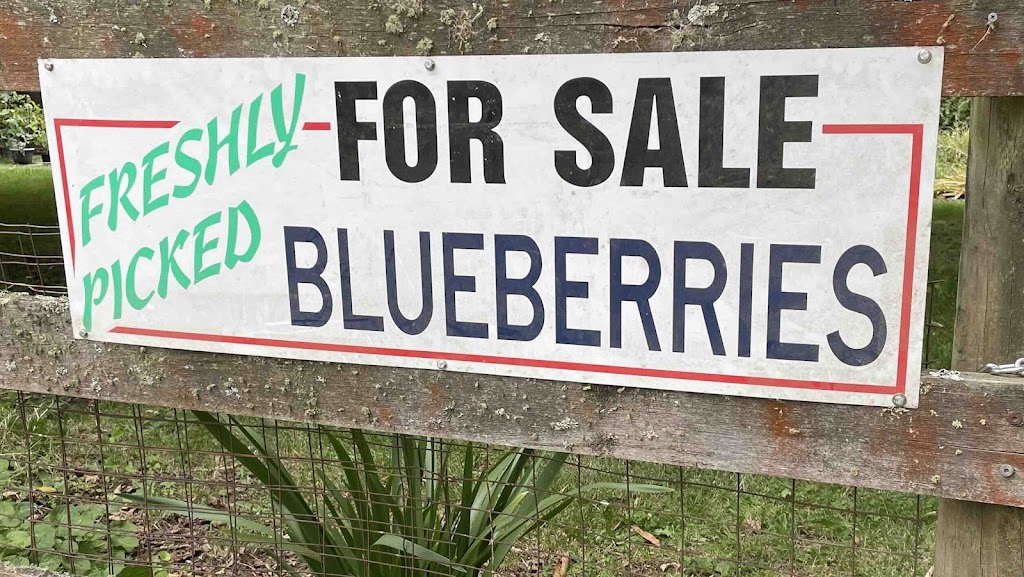 Glenlyon Blueberry Orchard | 18 Spring St, Glenlyon VIC 3461, Australia | Phone: 0484 183 686 Glenlyon Blueberry Orchard | 18 Spring St, Glenlyon VIC 3461, Australia | Phone: 0484 183 686