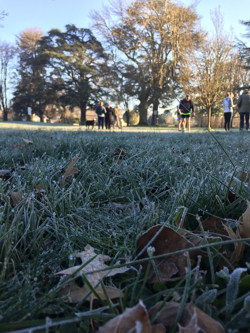 Lancefield parkrun | Chauncey St &, Park St, Lancefield VIC 3435, Australia