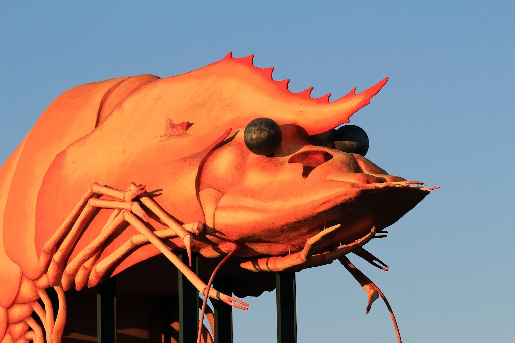 The Big Prawn | tourist attraction | 507 River St, West Ballina NSW 2478, Australia | 0266185600 OR +61 2 6618 5600