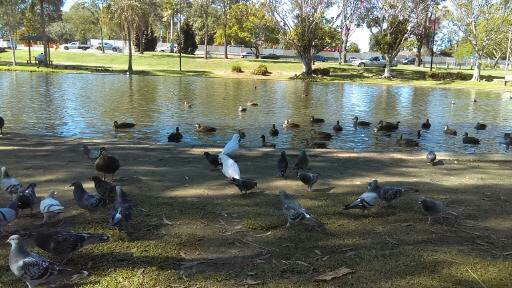 Centenary Lakes Park | park | Caboolture QLD 4510, Australia