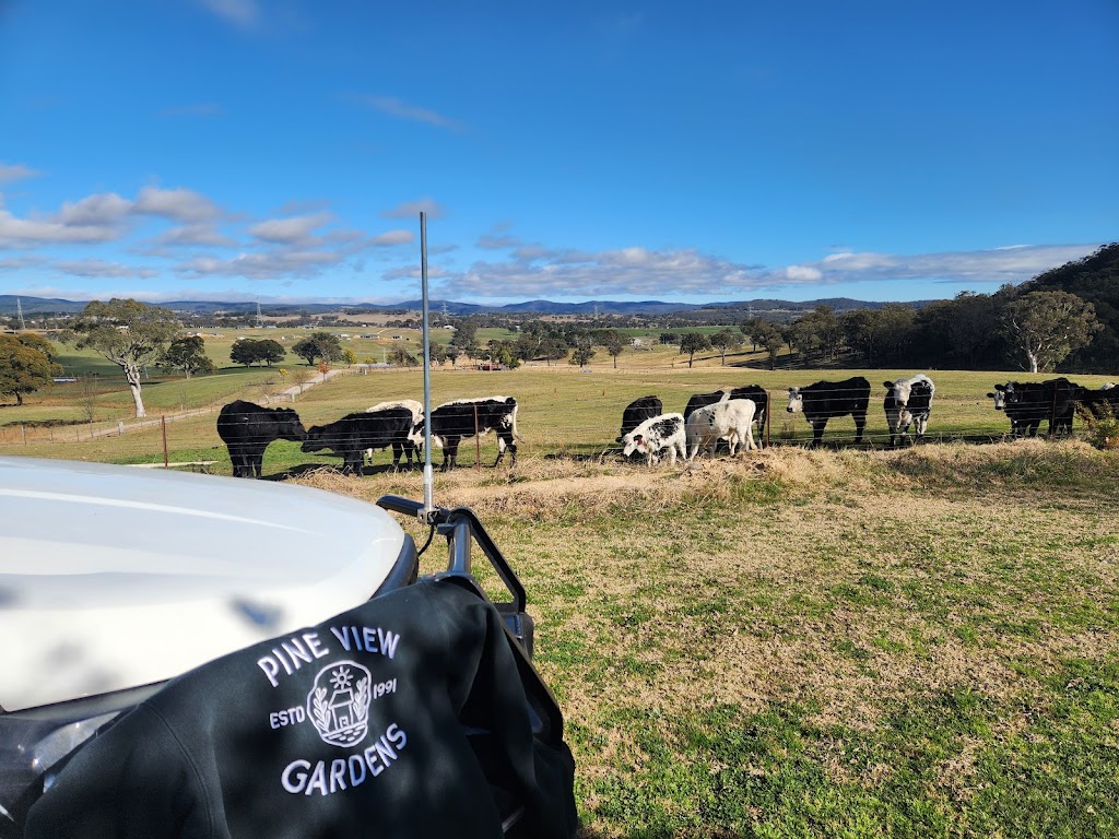 Pine View Gardens | 10 Railway Ave, Portland NSW 2847, Australia | Phone: 0488 005 597 Pine View Gardens | 10 Railway Ave, Portland NSW 2847, Australia | Phone: 0488 005 597