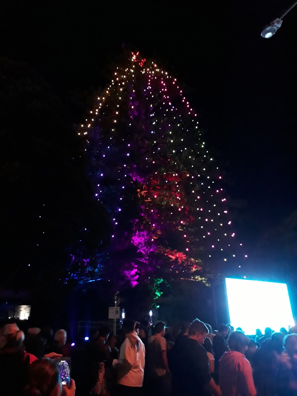 Frankstons Christmas Festival of Lights | 30 Davey St, Frankston VIC 3199, Australia | Phone: 1300 322 322