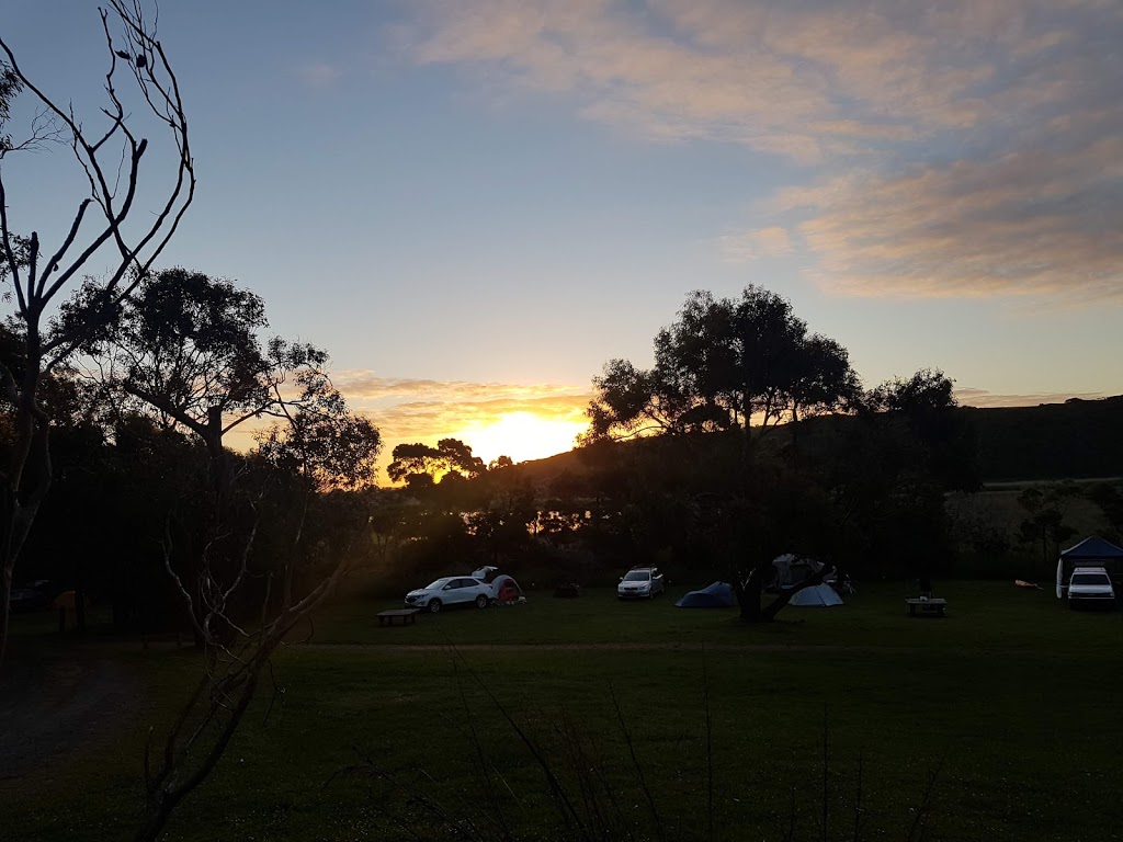 Aire River East Campground | Great Ocean Rd, Glenaire VIC 3238, Australia | Phone: 13 19 63