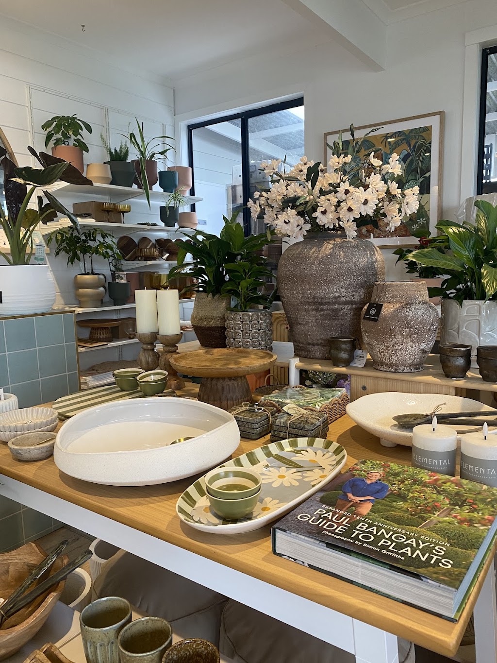 The Beach Willow Nursery & cafe | 1135 Surf Coast Hwy, Mount Duneed VIC 3217, Australia | Phone: 0413 345 574