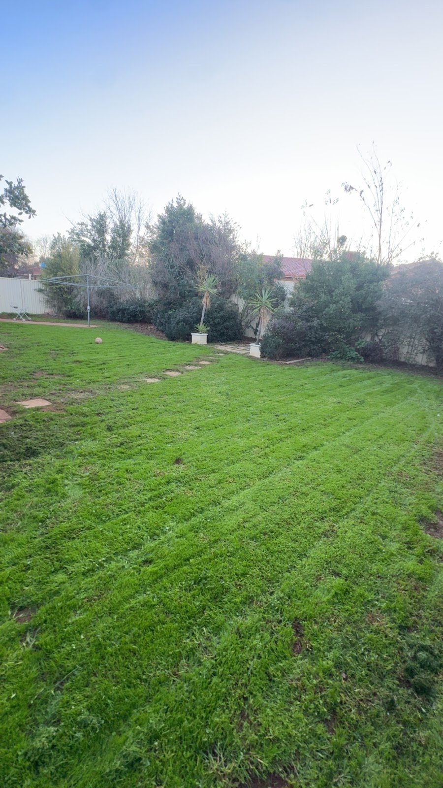 Griffith lawns & removals | 50A Madden Dr, Griffith NSW 2680, Australia | Phone: 0402 496 131