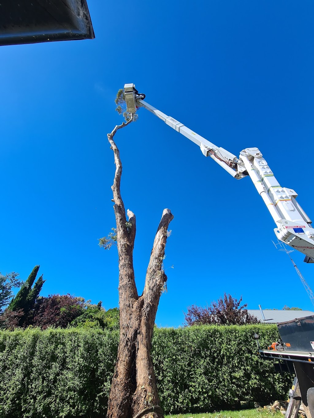 Climate tree services | 39a Chettle Ln, Gundary NSW 2580, Australia | Phone: 0422 592 236