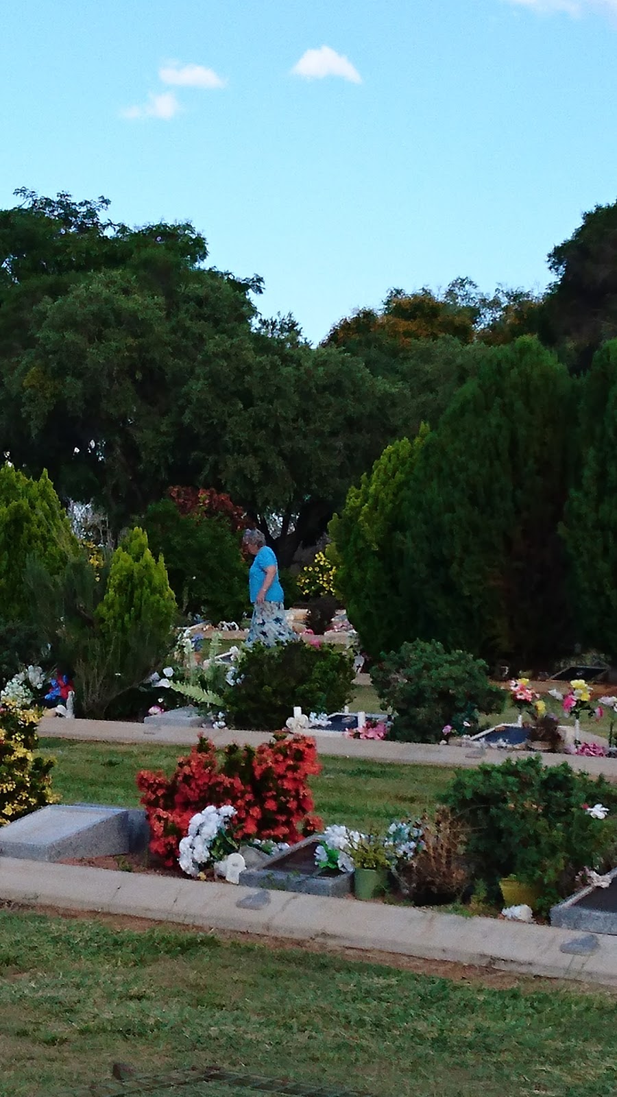 Charters Towers Cemetery | cemetery | Toll QLD 4820, Australia
