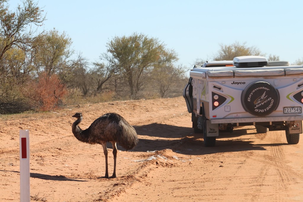 Outback Caravan Hire | 4 Avenel Pl, Endeavour Hills VIC 3802, Australia | Phone: 0416 030 825