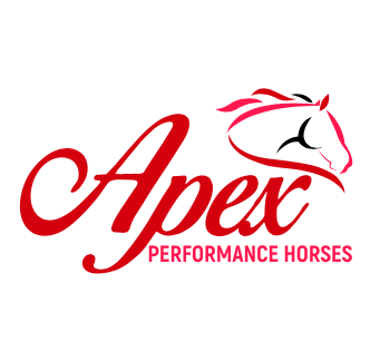 Apex Performance Horses | 19 Lakeview Dr, Murrumbateman NSW 2582, Australia | Phone: 0439 247 916