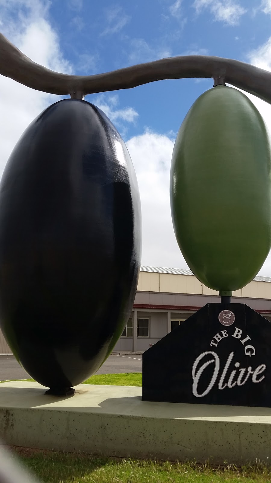 The Big Olive Company | store | LOT 58 Big Olive Grove, Tailem Bend SA 5260, Australia | 0885723000 OR +61 8 8572 3000