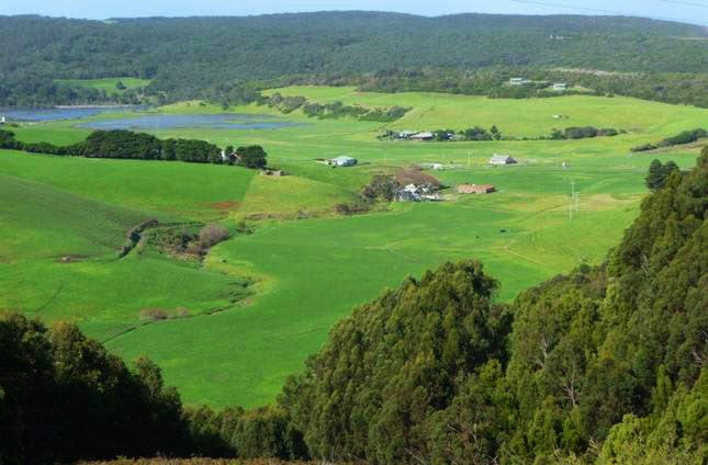 Johanna Bluegum Holiday Cabins | 565 Blue Johanna Rd, Johanna VIC 3238, Australia | Phone: 0427 519 230