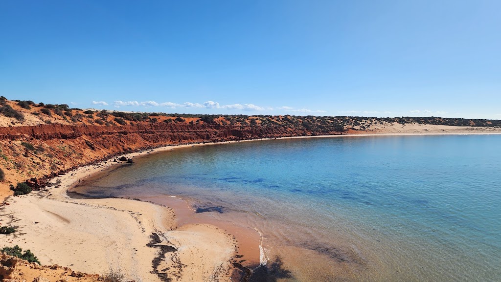 Shark Bay 4WD Tours | 1 Ocean Park Rd, Shark Bay WA 6537, Australia | Phone: (08) 9948 1765
