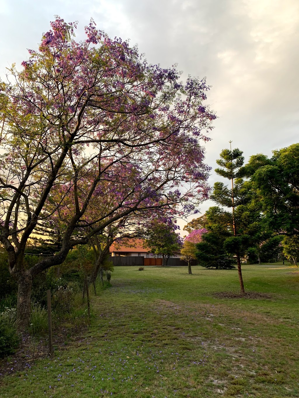 Southern Cross Drive Reserve | park | 216-224 Gardeners Rd, Rosebery NSW 2018, Australia
