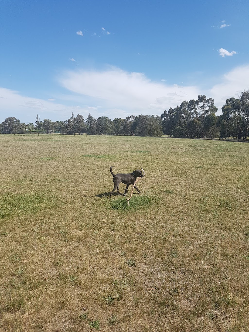 Sebastopol Dog Park | park | 182 Grant St, Sebastopol VIC 3356, Australia