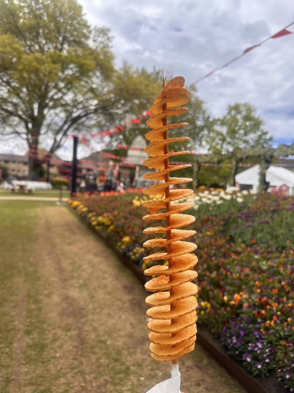 Chips on the Stick by RED TIBBA | Minnesota Rd, Hamlyn Terrace NSW 2259, Australia | Phone: 0470 560 330