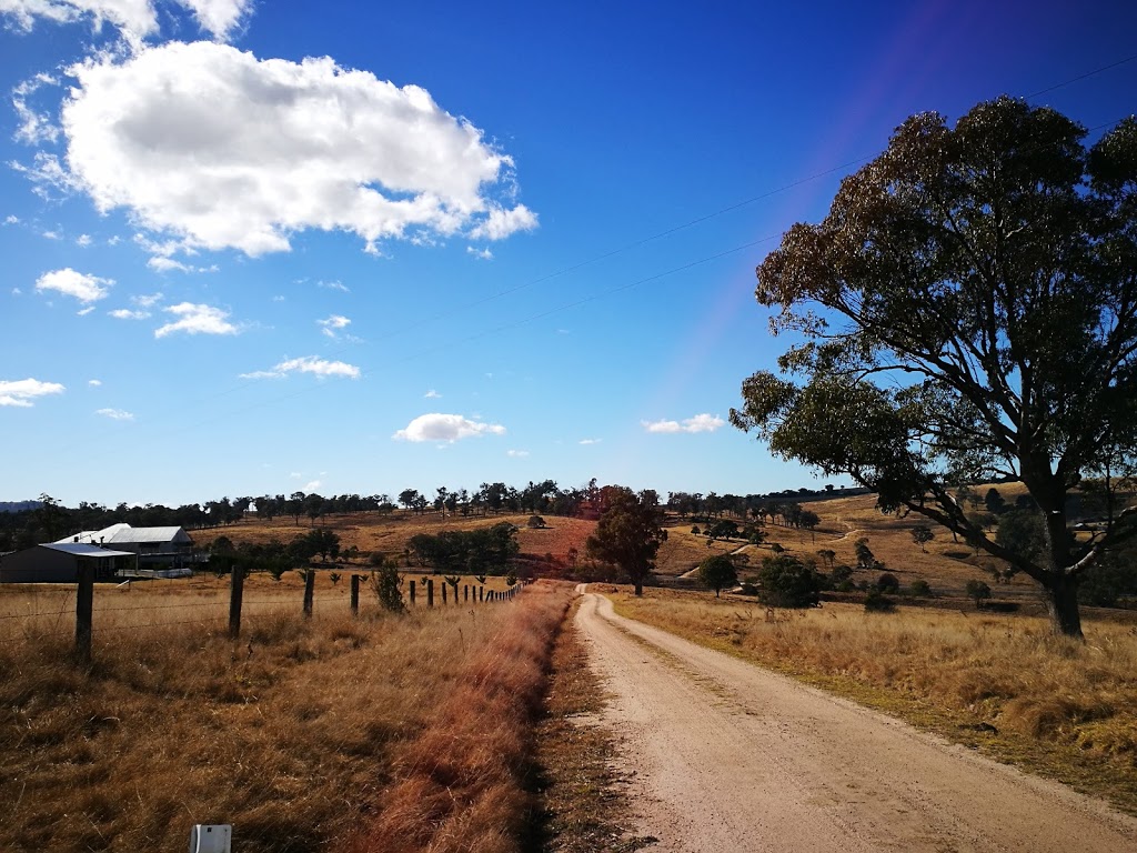 Hill Top Farm | 36 Bungulla Platform Rd, Tenterfield NSW 2372, Australia | Phone: 0421 609 541