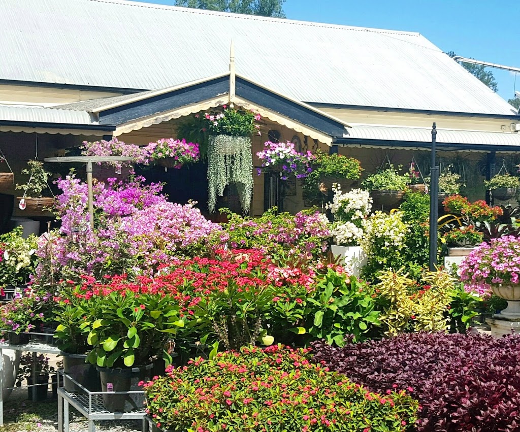 Ross Evans Garden Centre | store | 2274 Moggill Rd, Kenmore QLD 4069, Australia | 0488000525 OR +61 488 000 525