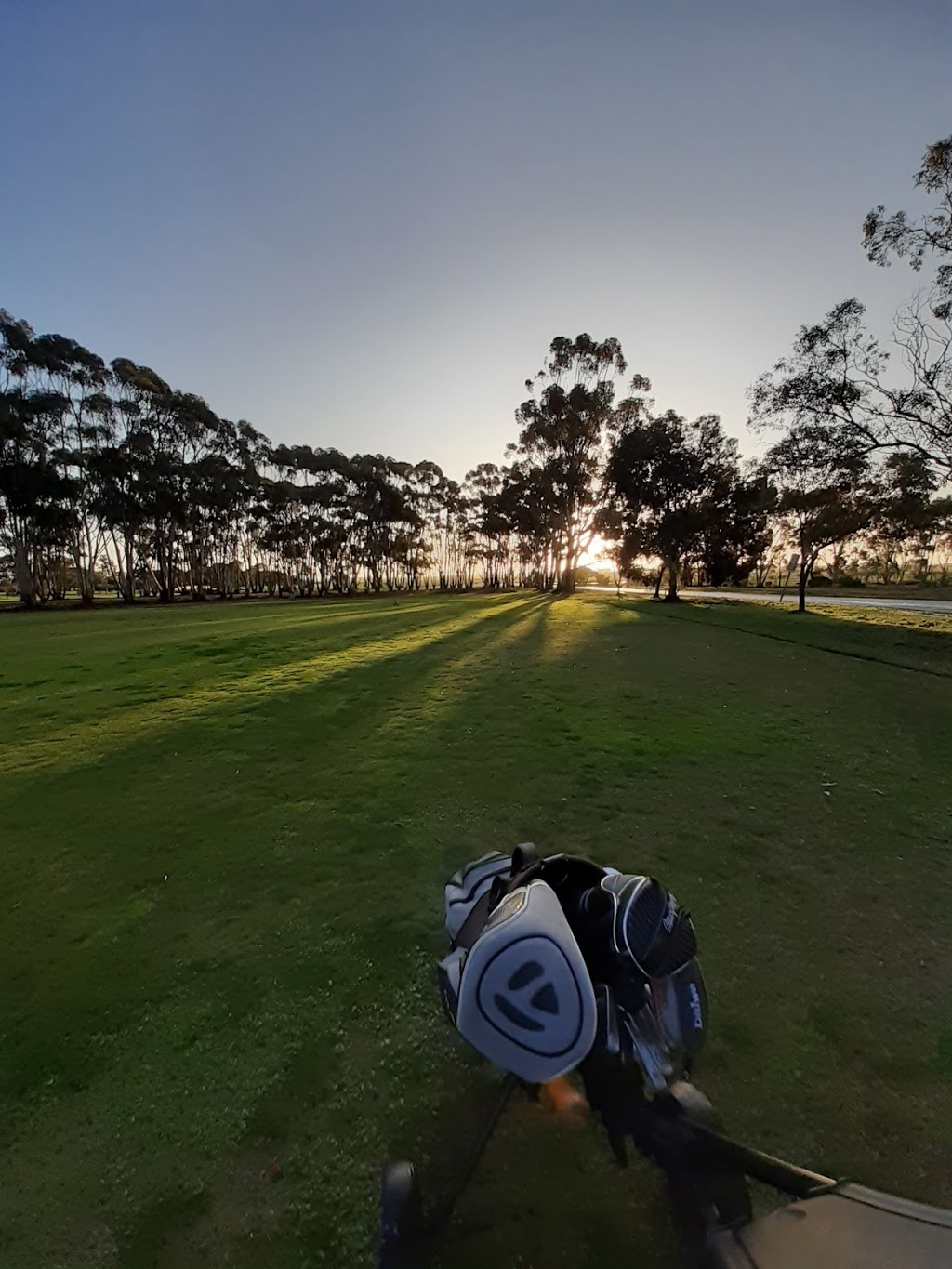 Maitland Golf Club |  | 2 Gardiner Terrace, Maitland SA 5573, Australia | 0888322741 OR +61 8 8832 2741
