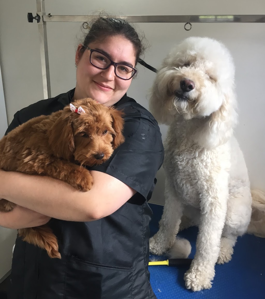 Fluffy Puppies Dog Grooming Pty Ltd | 50 Orchard Cres, Mont Albert North VIC 3129, Australia | Phone: 0408 184 298