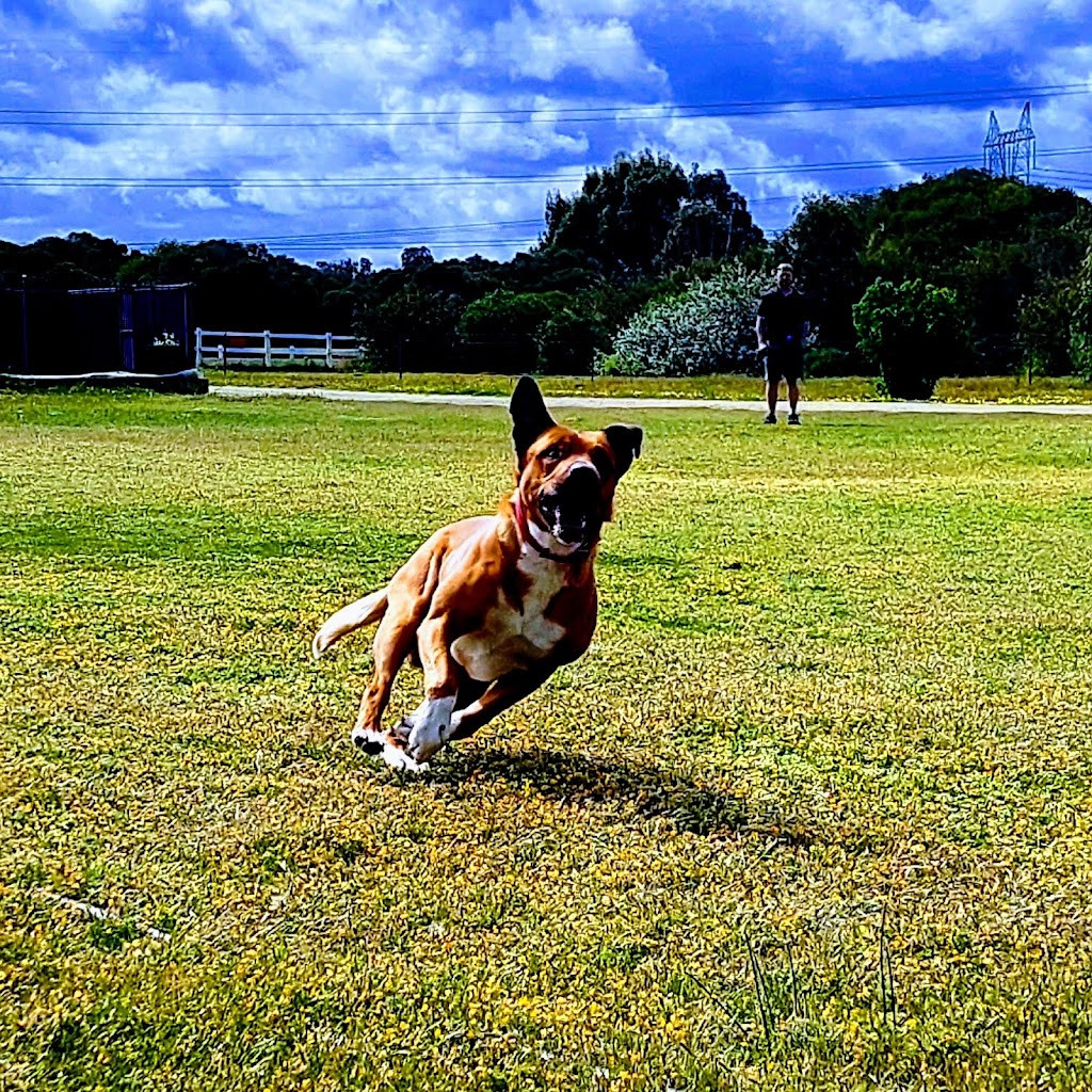 Jessy & Ozzy’s Country Kennels | 121 Greyhound Retreat, Nambeelup WA 6207, Australia | Phone: (08) 9583 4971