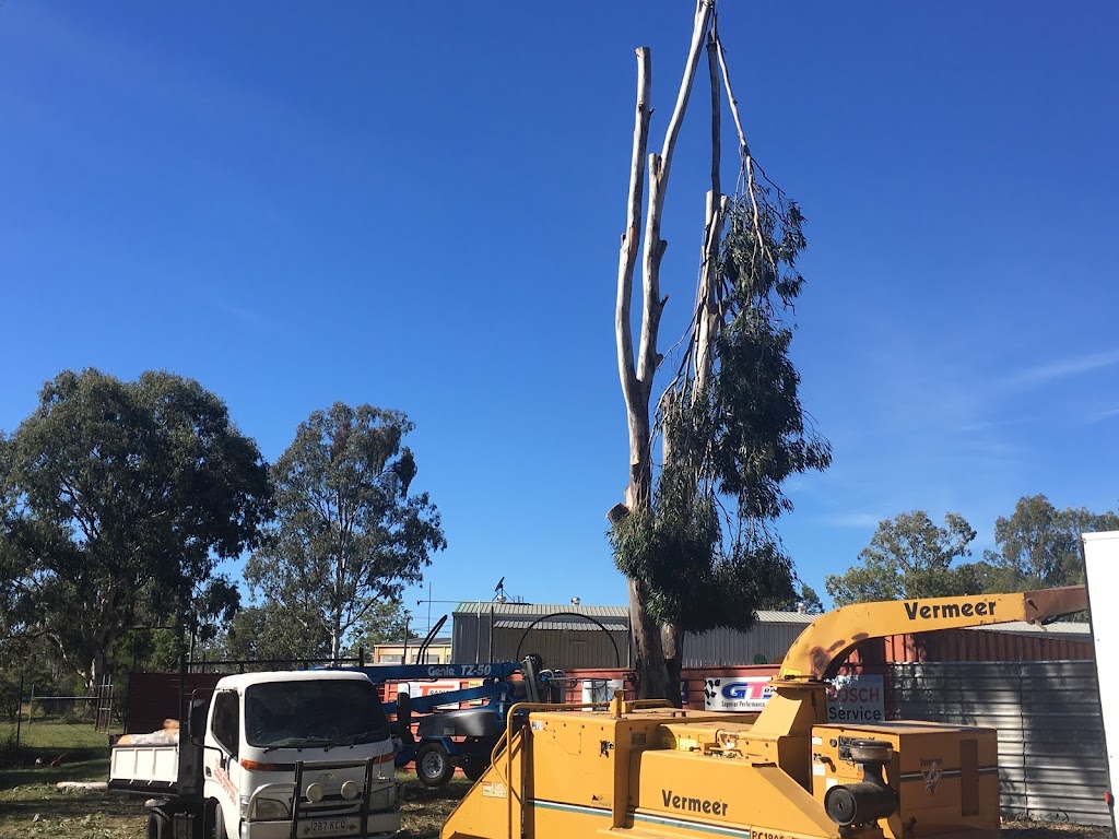 South Burnett Tree Removal | Kingaroy QLD 4610, Australia | Phone: 0422 896 754