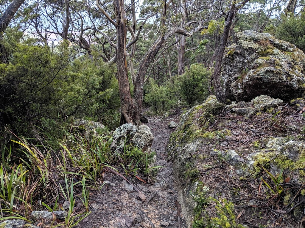 Mount Gnomon | park | Mount Dial Track, Penguin TAS 7316, Australia