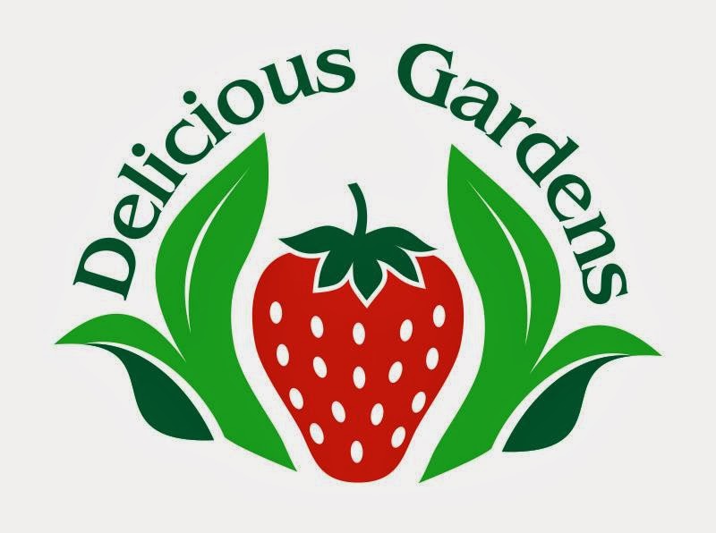 Delicious Gardens | park | 206 Moss Vale Rd, Kangaroo Valley NSW 2577, Australia | 0439456356 OR +61 439 456 356