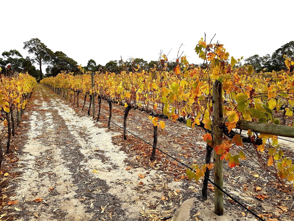 Southwest Charter Vehicles & Winery Tours | 33 Oaks Dr, Vasse WA 6280, Australia | Phone: 0409 117 508