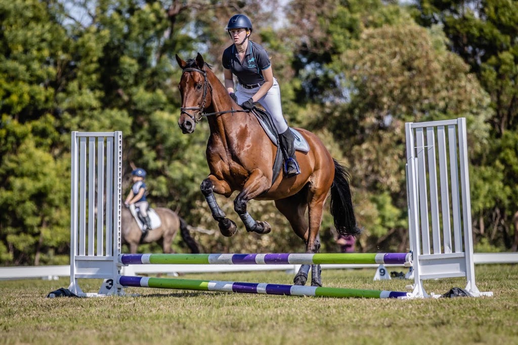 Whyld Equestrian Coaching | 6A Chiltern Rd, Ingleside NSW 2101, Australia | Phone: 0402 020 504