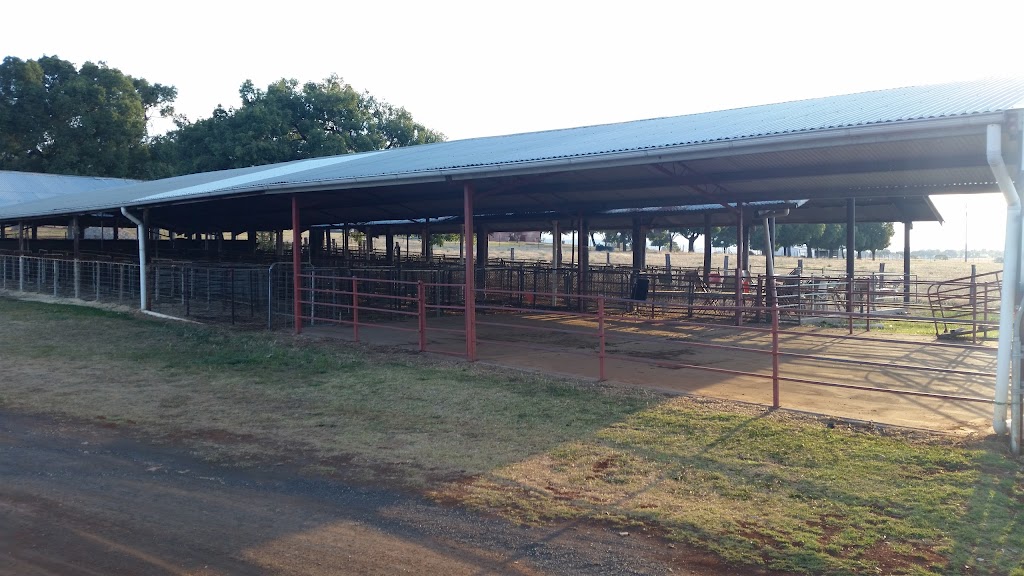 Gulgong Showgrounds | LOT 86 Grevillea St, Gulgong NSW 2852, Australia | Phone: 0484 531 520