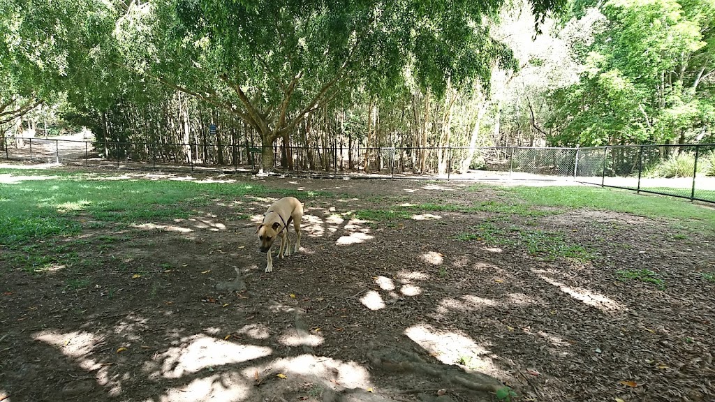 Martindale Street Dog Park | park | 449 Trouts Rd, Chermside West QLD 4032, Australia