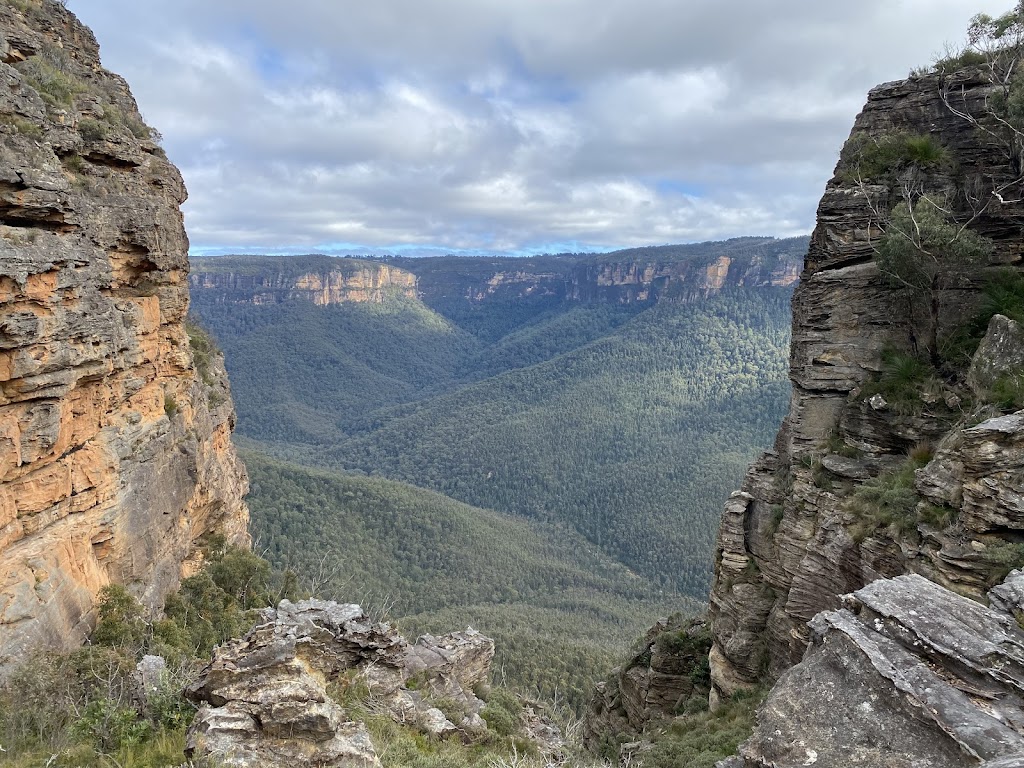 Wollemi Wanders | Bushwalks and Canyoning | 16 Church Ln, Mount Wilson NSW 2786, Australia | Phone: 0436 107 829