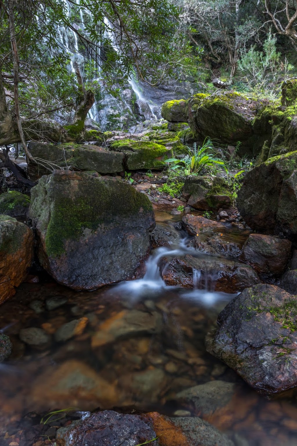 Basin Creek Falls |  | Old Basin Rd, Buchan VIC 3885, Australia | 131963 OR +61 131963