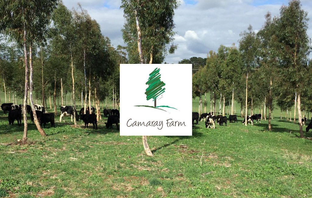 Camaray Farm | general contractor | 38 Cazalys Rd, Buln Buln VIC 3821, Australia | 0437487742 OR +61 437 487 742