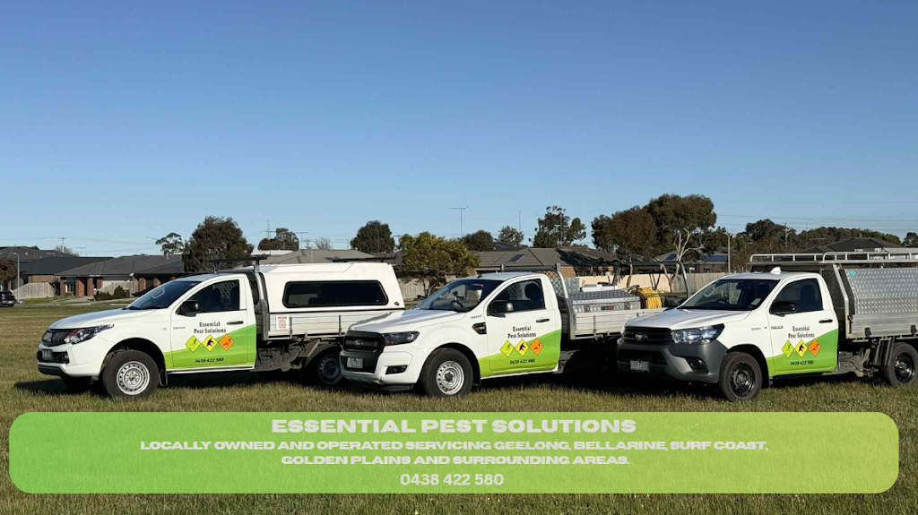 Essential Pest Solutions - Pest Control Geelong | 44/3 Dyson Ct, Breakwater VIC 3219, Australia | Phone: 0438 422 580