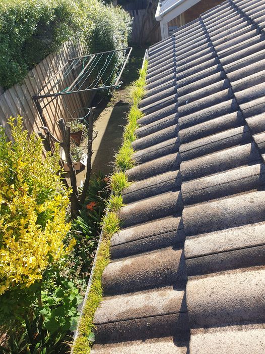Geelong Local Roof & Gutter Cleaning | 56 Fogarty Ave, Highton VIC 3216, Australia | Phone: 0435 322 038