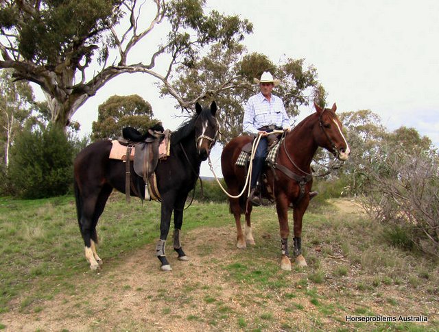 Horseproblems Australia |  | 105 Ferrier Dr, Waitpinga SA 5211, Australia | 0418814029 OR +61 418 814 029