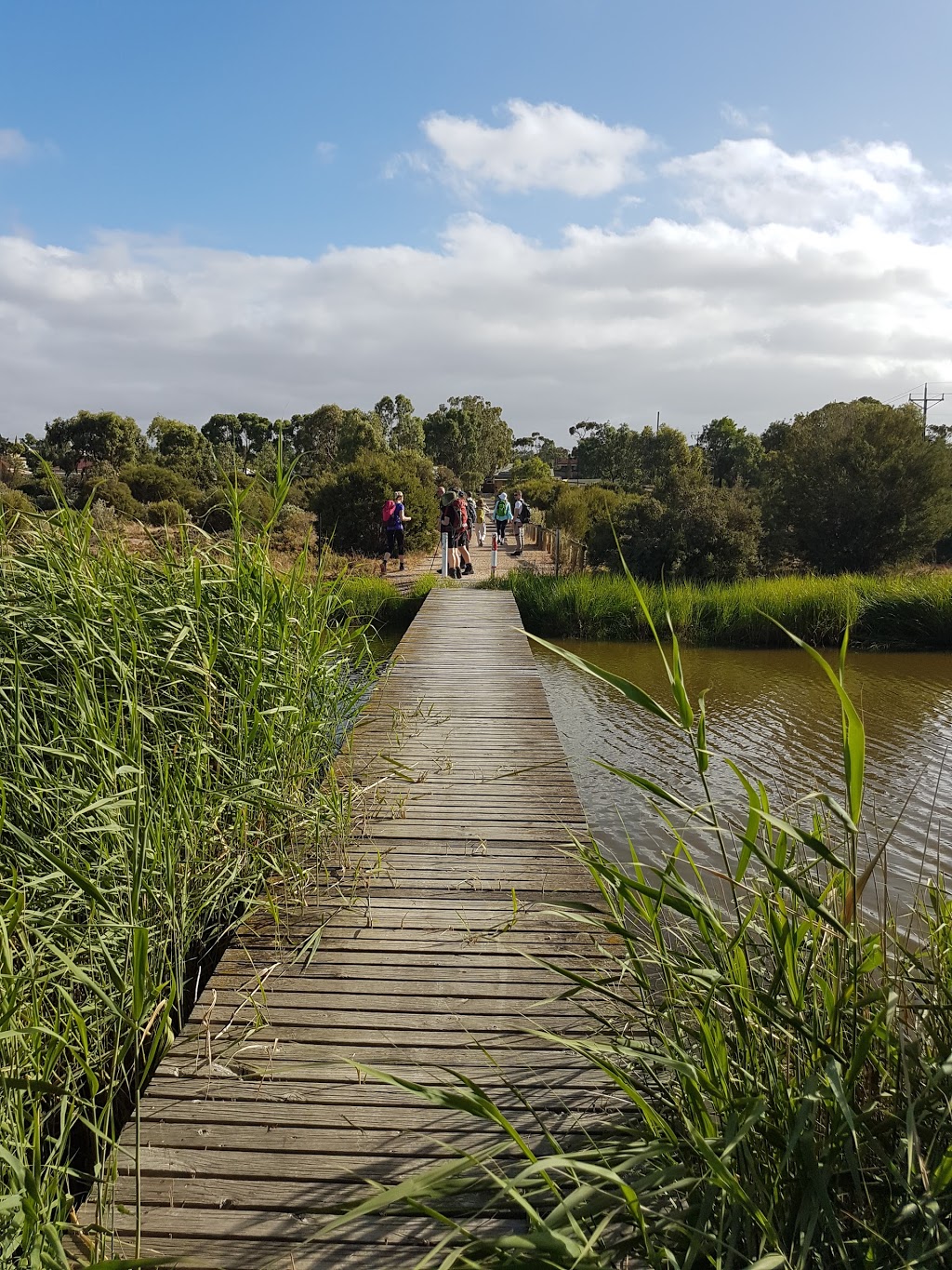 Lavender Federation Trail | Murray Bridge SA 5253, Australia