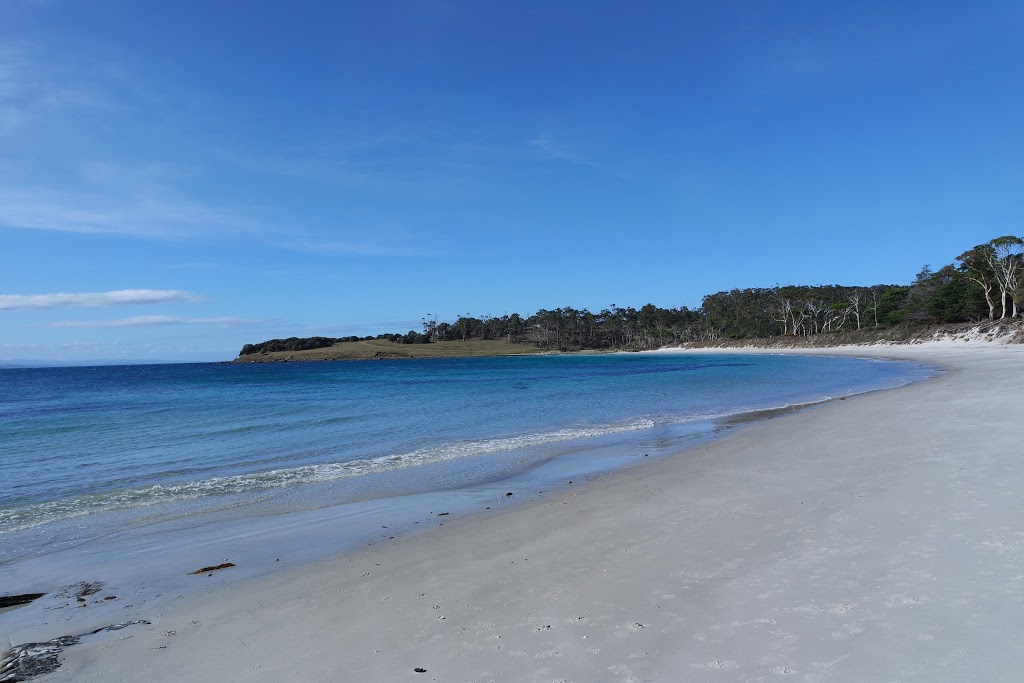 The Maria Island Guided Walk | Darlington, Maria Island TAS 7000, Australia | Phone: 0400 882 742