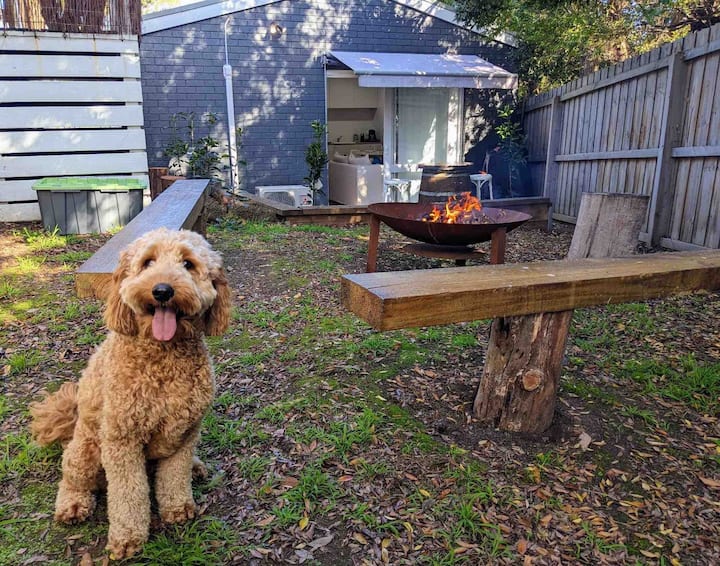 SeaSmith | 9 Cruickshank Ave, Ocean Grove VIC 3226, Australia | Phone: 0413 676 227