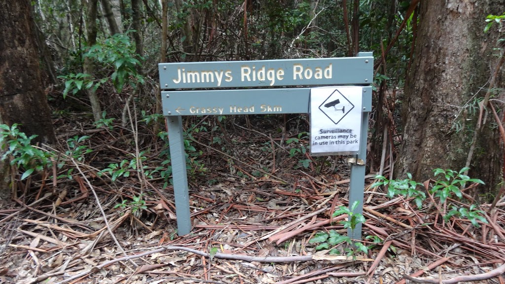 Pines Picnic Area | Jimmys Ridge Rd, Way Way NSW 2447, Australia