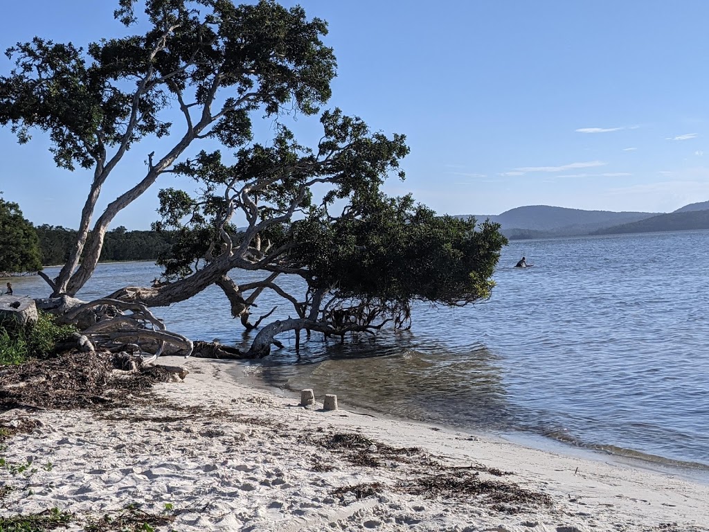 Great Lakes Sailing Club | 4859 The Lakes Way, Forster NSW 2428, Australia | Phone: 0412 206 733