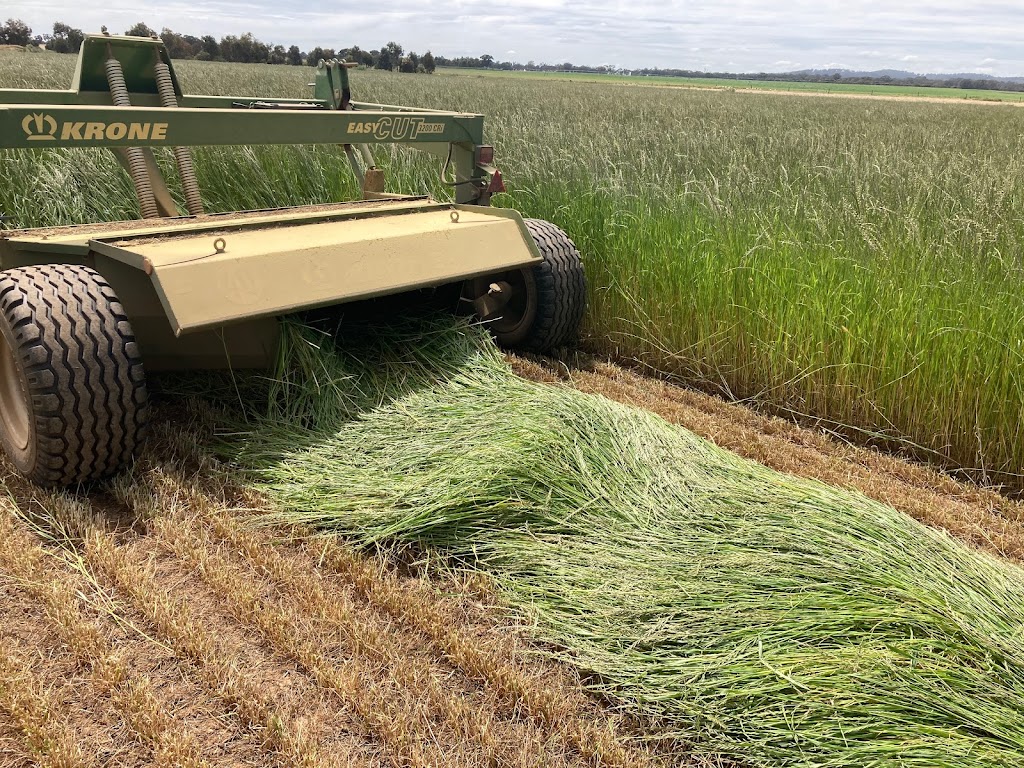 Carram Dale Farm Hay & Grain Sales Doug Jennings | Jennings Rd, Baringhup VIC 3463, Australia | Phone: 0419 282 811