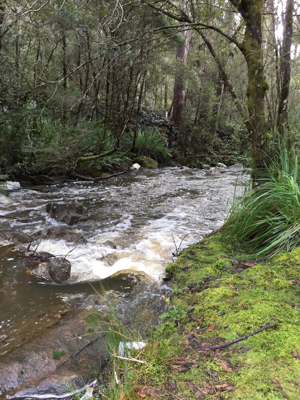 Mavista Picnic Area & Walking Track | Resolution Rd, Adventure Bay TAS 7150, Australia